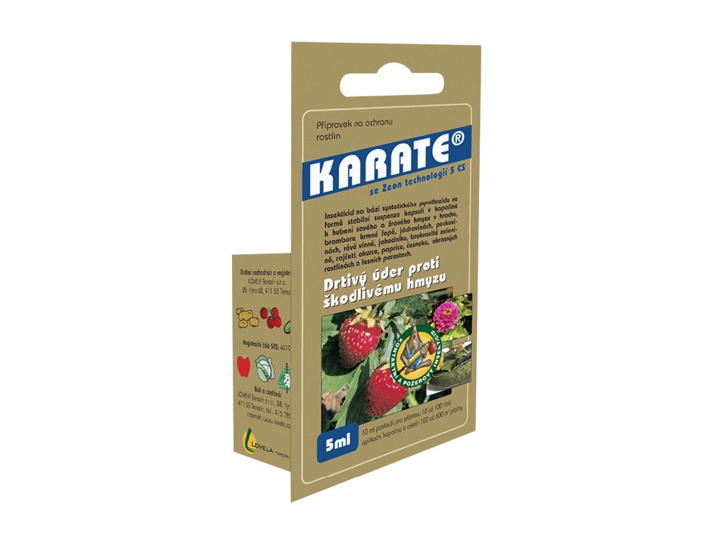 karate