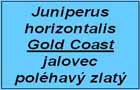jalovec Gold Coast