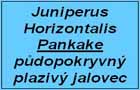 jalovec Pankake